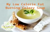My Low Calorie Fat Burning Celery Soup