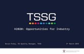 H2020: Opportunities for Industry. Brian Foley, EU Quality Manager, TSSG