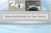 Motorized blinds for your house