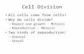 9.1   9.4 cell division