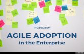 Agile Adoption in the Enterprise