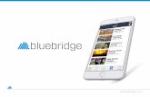 2015 Bluebridge Financing Pitch Deck