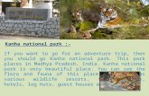 Visit Kanha National Park – Stay in Hornbill Resorts