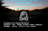 Diagnostico parasitologia