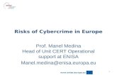Cybercrime Risks Eu