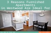 3 Reasons Furnished Apartments in Westwood Are Ideal for International Students