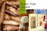Premium Cassava Flour