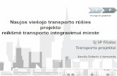 Karolis dekeris, miesto transporto integracija naujų viešojo transporto rūšių projekto kontekste
