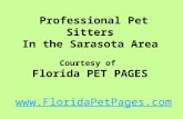 Finding A Pet Sitter In Sarasota