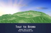 Tour to Bromo, East Java