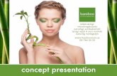 bamboo store concept presentation