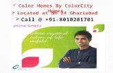 Color Homes – 8010201701