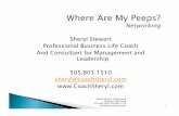 Sheryl Stewart Networking 9132010