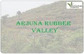 Arjuna rubber valley