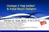 Omega 3 yaş asitleri ve Fetal Beyin Gelişimi