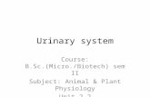 B.sc.(Micro+Biotech) II Animal & Plant Physiology Unit 2.2 Urinary System
