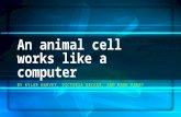 Animal Cell Analogy