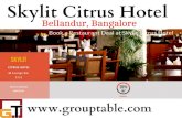 Skylit Citrus Hotel Bellandur