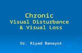 Chronic visual loss
