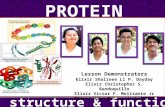 Protein; its functions