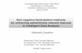 Non-negative factorization methods for extracting semantically relevant features in Intelligent Data Analysis