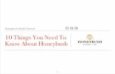 10 Things You Should Know About the Honeybush Plant and Why Its So Special