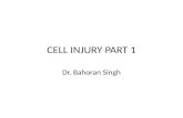 Cell injury part 1