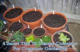 4 smart tips to choose container for container gardening