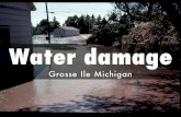 Water damage Grosse Ile Michigan