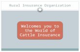 Rural Insurance Organization (PPT)