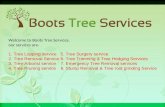 Tree Lopping Services In Gold Coast