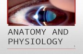 Lens – anatomy and physiology