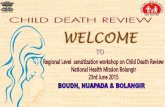 Child Death Review, introduction