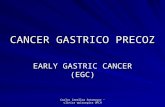 Early gastric cancer1