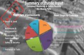 Ala Moana Park combined online and workshop report
