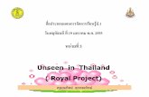 Unseen Things in Thailandt+Loyal and Projects2+ป.1+108+dltvengp1+55t2eng p01 f16-1page