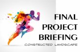 Project03 (final project) briefing