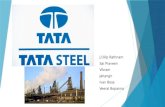 Project Tata steel dd