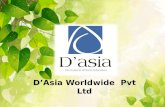 D’asia international study abroad, travel & tourism consulting