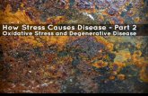 How Stress Causes Disease - Part 2