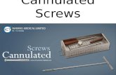 Cannulated screws