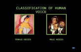 Clasificación de las voces