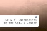 5cd checkpoints and cancer