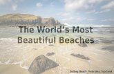 The World's Most Beautiful Beaches