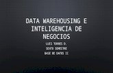 Data warehousing e inteligencia de negocios