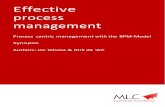 Synopsis bpm effective process management