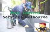 Pest control services melbourne