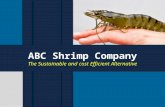ABC Shrimp Co. ppt