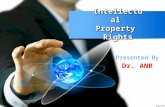 INTELLECTUAL PROPERTY RIGHTS OVERVIEW