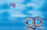 Textual Macroestructures